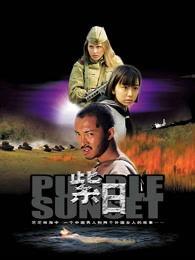 紫日电影在线观看,穿越时光的青春记忆  第2张